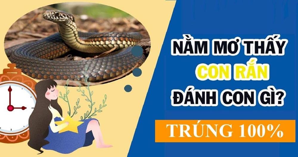 Chiêm Bao Thấy Rắn Cắn Là Điềm Gì? Giải Mã Số Mơ Và Mơ Thấy Cầu Vồng