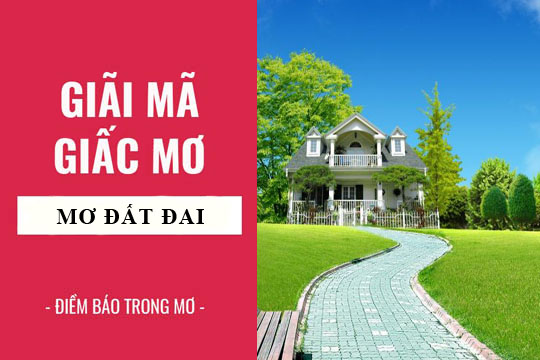 Giải mã ý nghĩa giấc mơ Nằm mơ thấy bán đất và những con số may mắn
